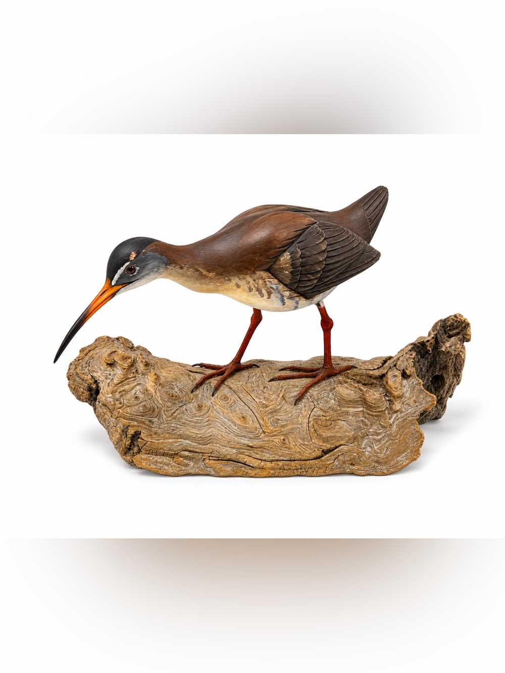 Hand carved clapper rail bird sculpture on burl wood Singed by artist